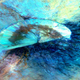 Illustration for article titled Asteroids Look Sensational in Infrared